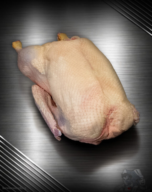 Gans aus Pommern Extra-Qualität roh, Premium-Geflügel vor metallischem Hintergrund