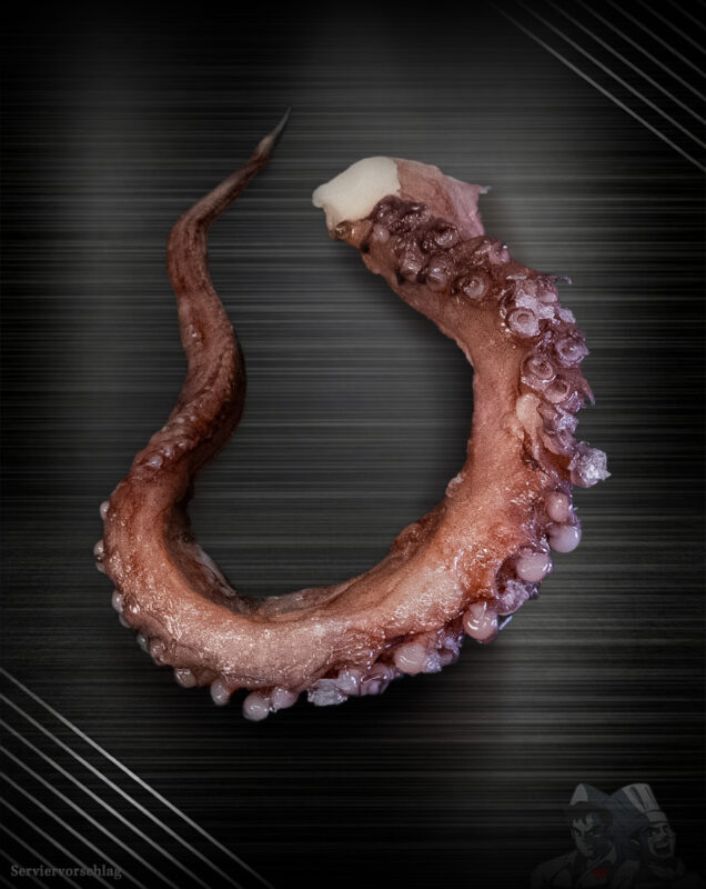 Oktopus Arm ganz - Pulpoarm