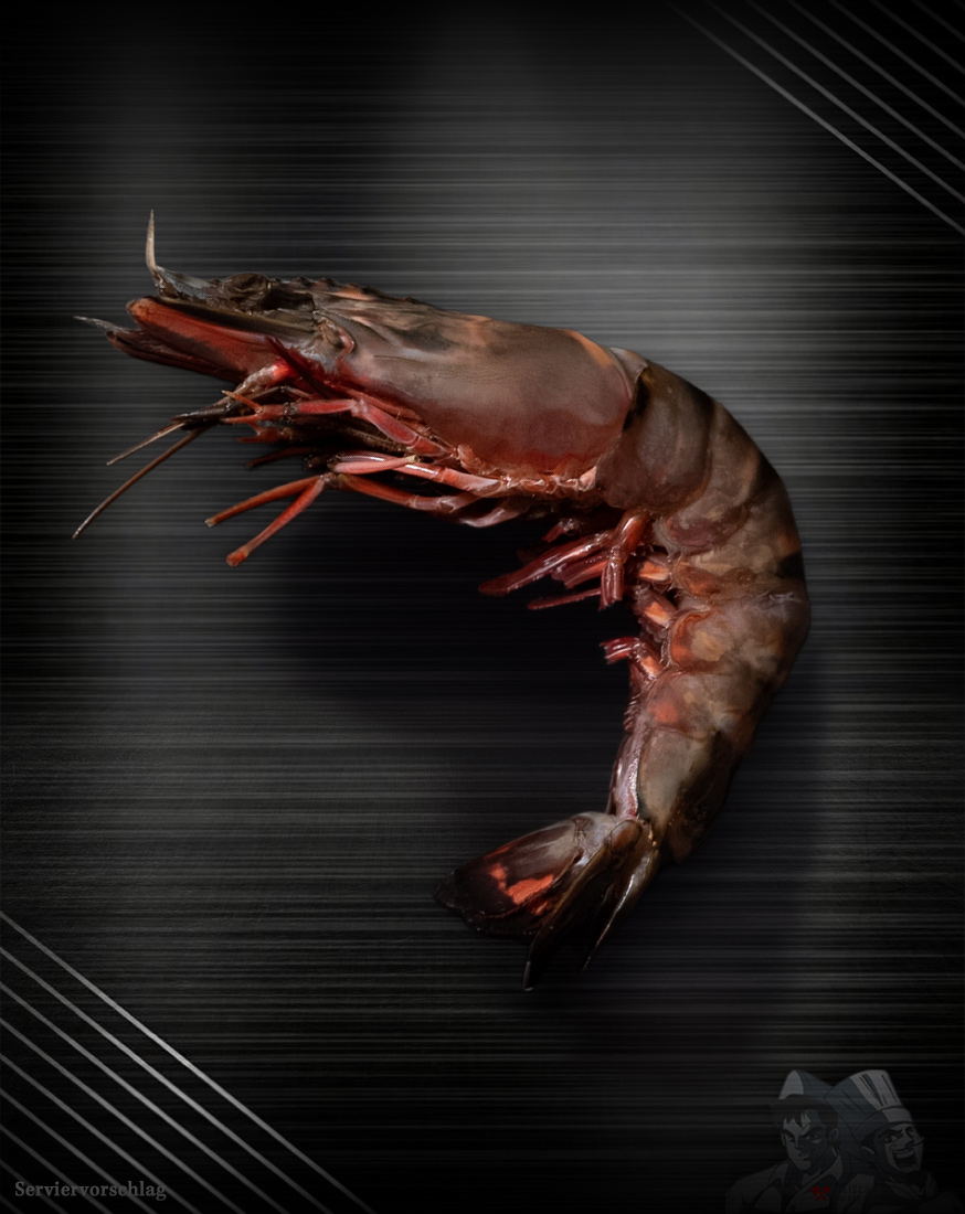 Sea Tiger Garnelen - Riesengarnelen Sea Tiger Garnelen - Riesengarnelen