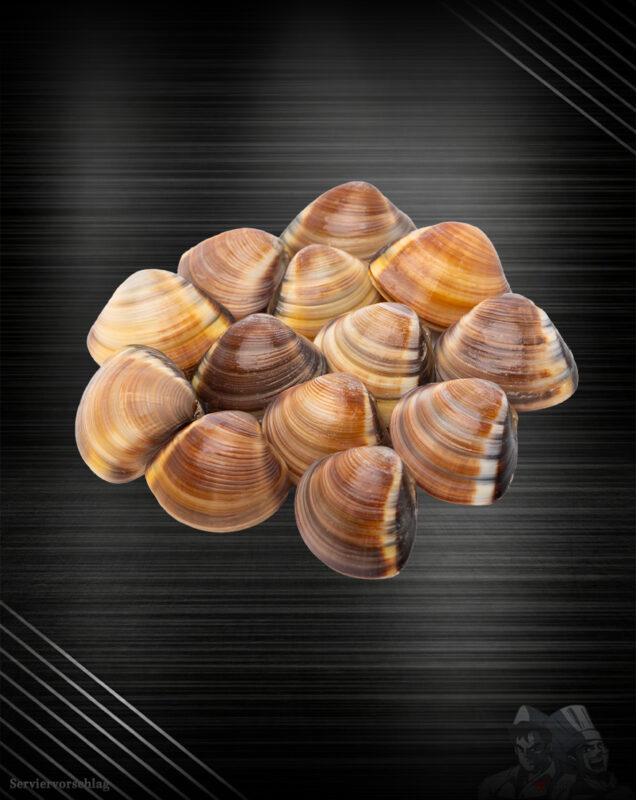 Venusmuscheln: Eine Reise in die Tiefen des Mittleren Westpazifiks!