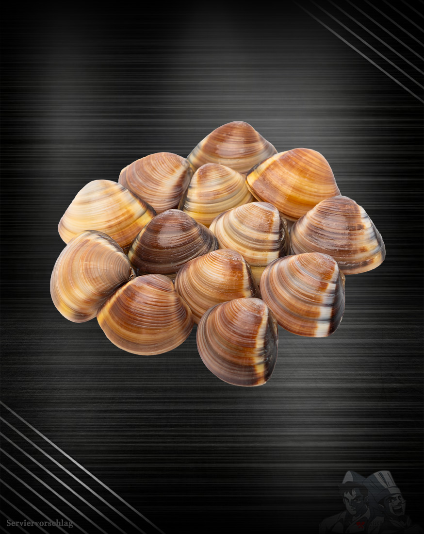 Venusmuscheln mit Schale gekocht Venusmuscheln: Eine Reise in die Tiefen des Mittleren Westpazifiks!