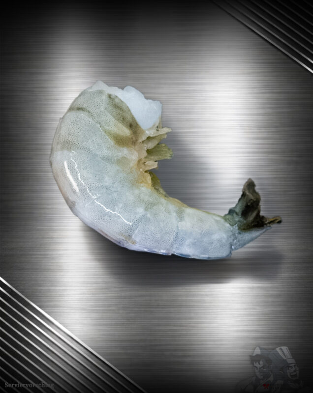 Garnelen in der Größe 31/40