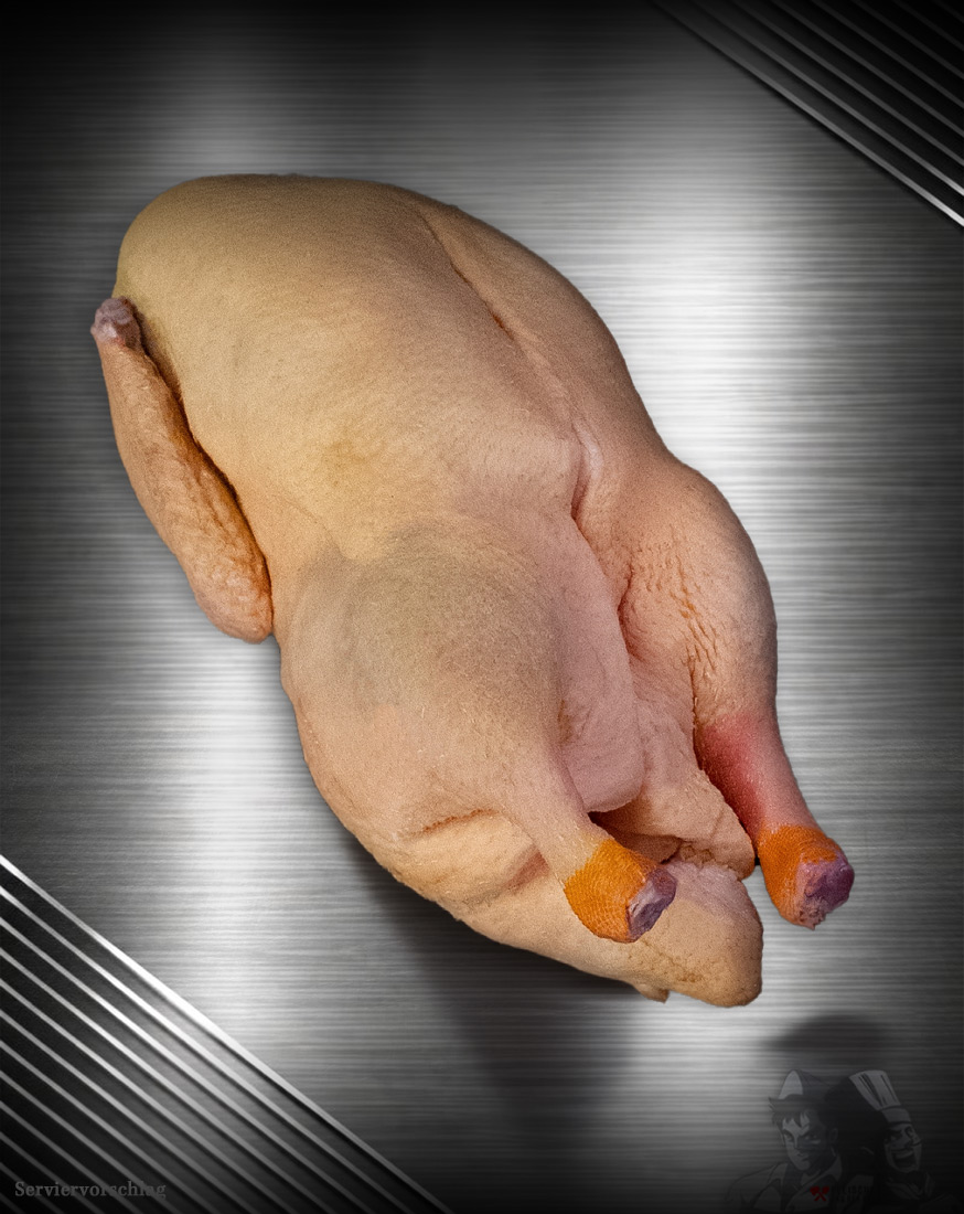 Ganze Ente aus Pommern – Premium-Geflügel in Extra-Qualität Ganze Ente aus Pommern roh, Premium-Geflügel edel inszeniert vor edlem Hintergrund