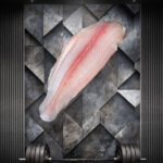 Rohes Athleten Pangasiusfilet, naturbelassen und zart auf hellem Untergrund